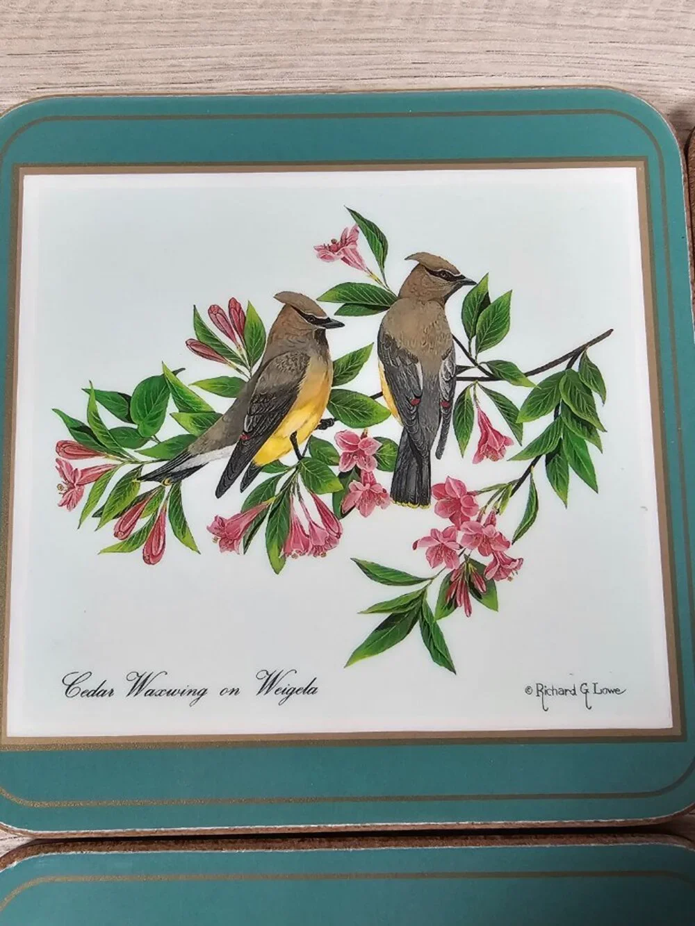Pimpernel Coasters Set of 6 Birds Cork Back Green Richard G Lowe Made in England